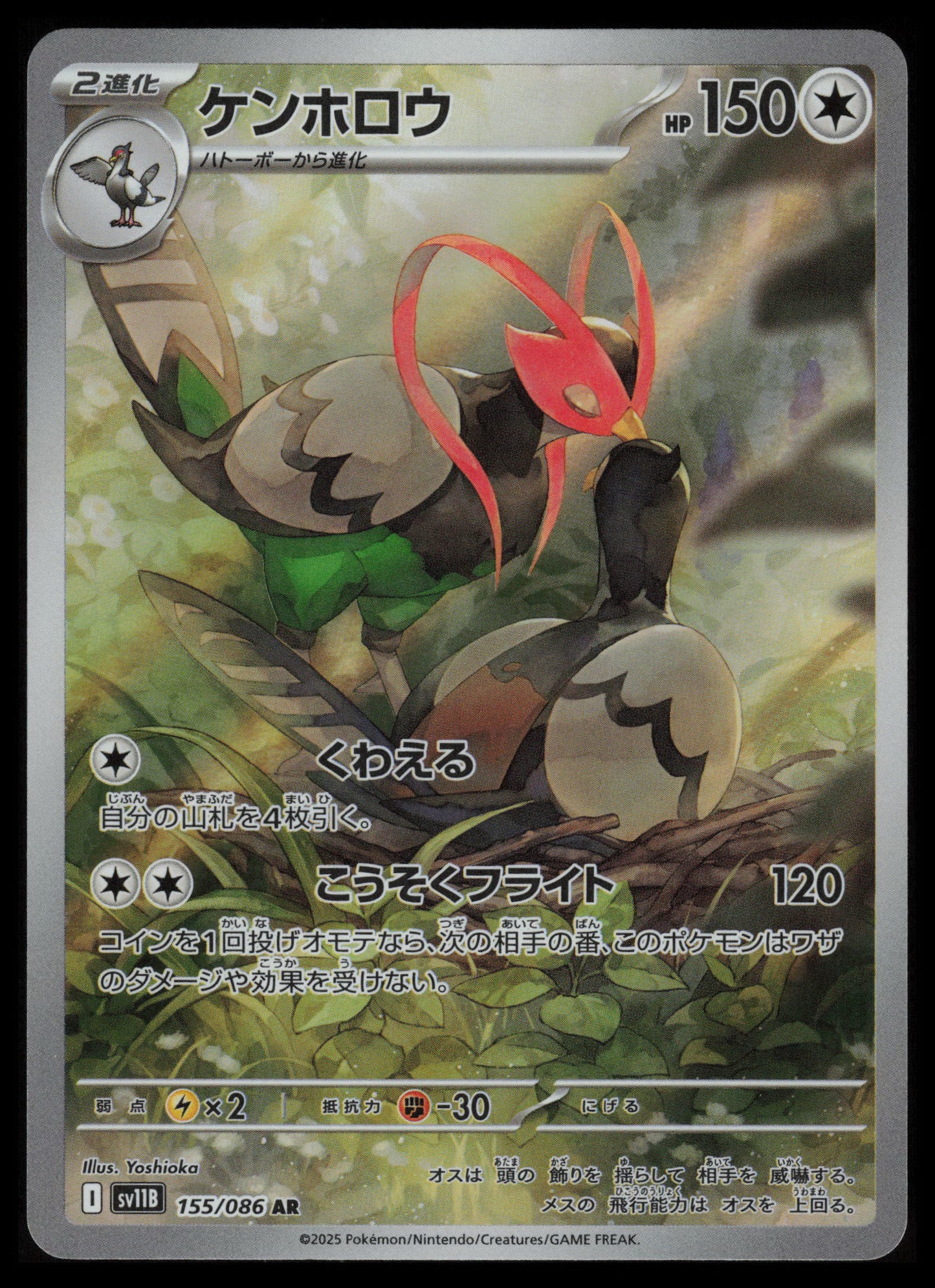 Unfezant #155 Pokemon Japanese Black Bolt