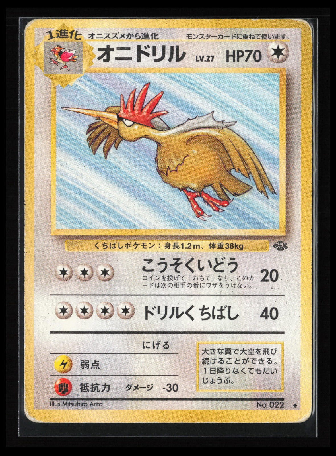 Fearow #022 Pokémon Japanese Pokemon Jungle