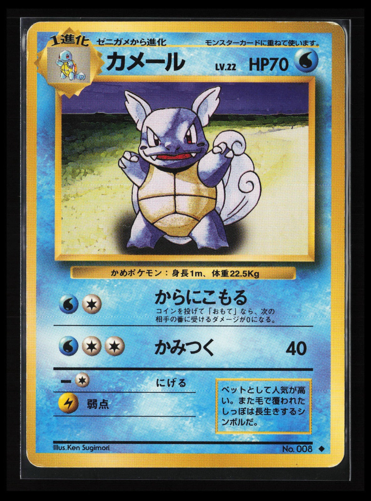 Wartortle #008 Pokémon Japanese Expansion Pack