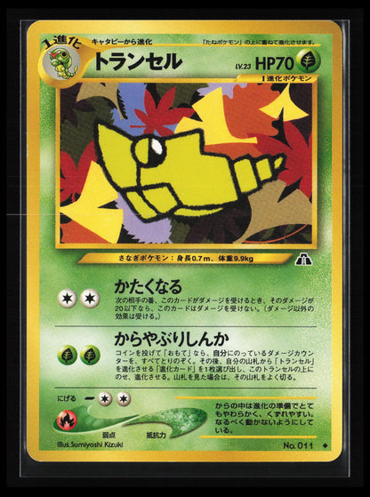Metapod #011 Pokémon Japanese Crossing the Ruins