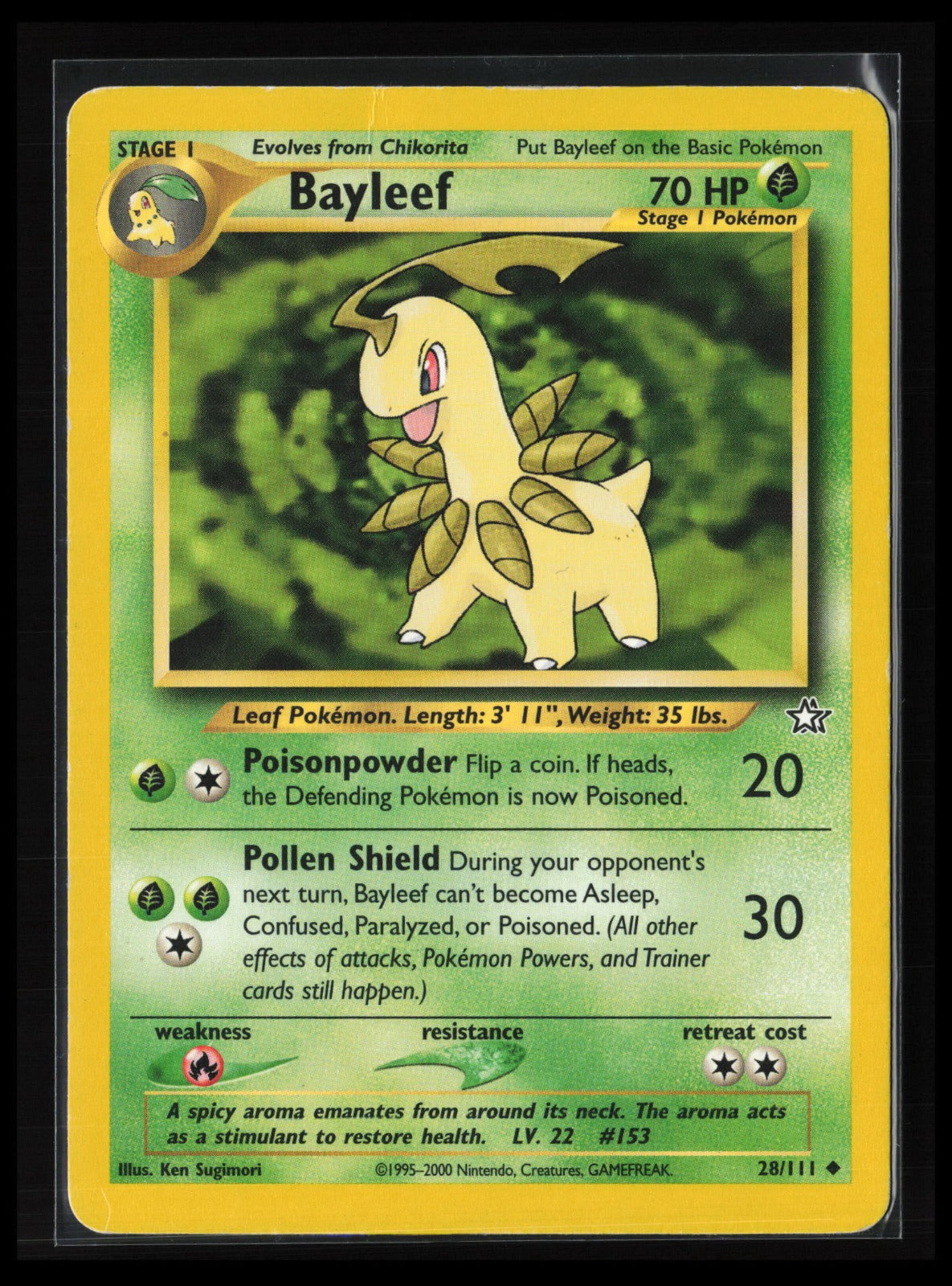 Bayleef (28) #028/111 Pokémon Neo Genesis