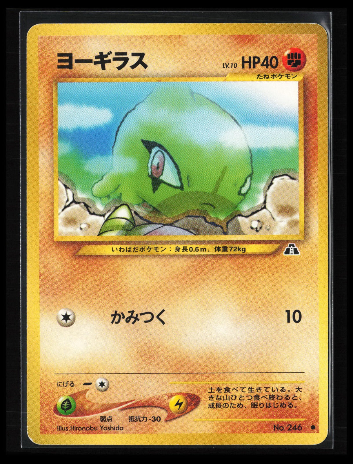 Larvitar #246 Pokémon Japanese Crossing the Ruins