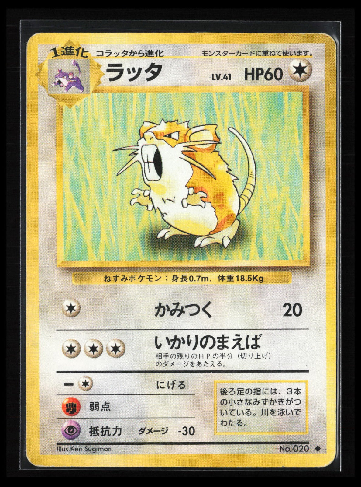 Raticate #020 Pokémon Japanese Expansion Pack