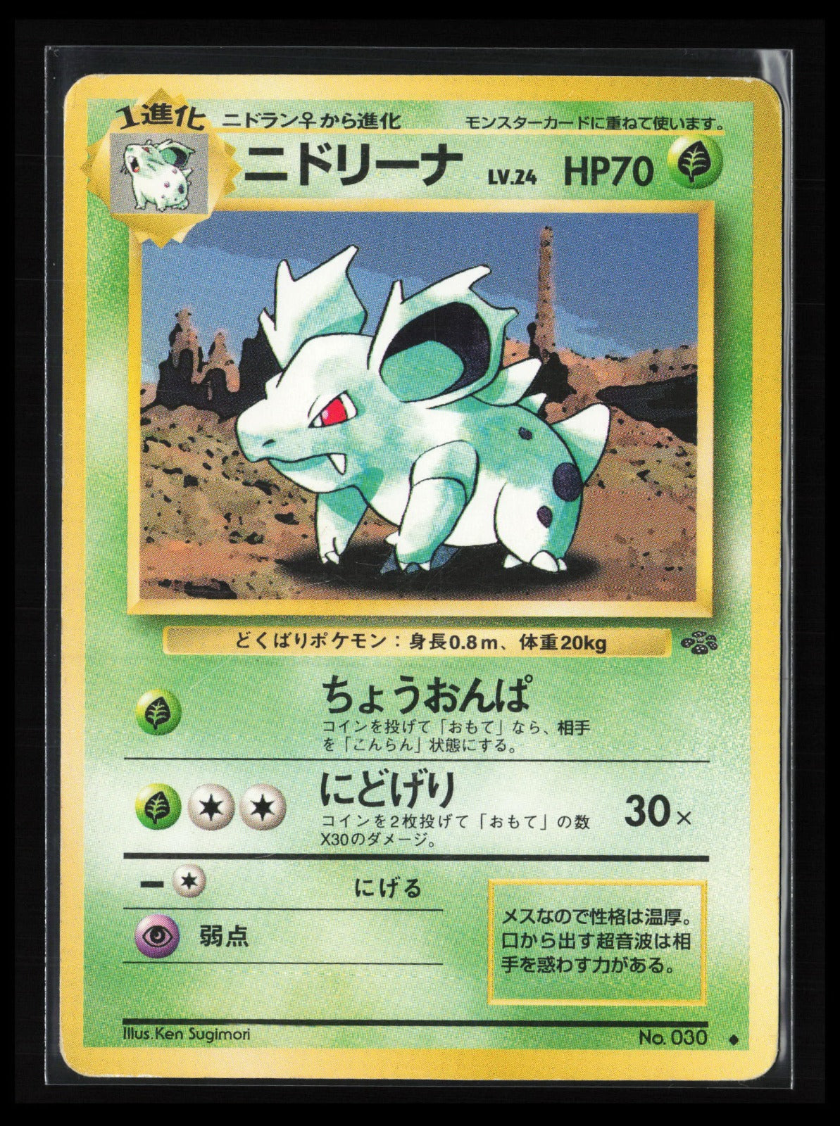Nidorina #030  Pokémon Japanese Pokemon Jungle