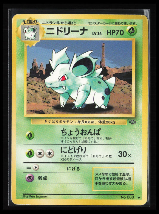 Nidorina #030  Pokémon Japanese Pokemon Jungle