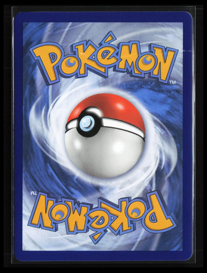 Dragonite VSTAR #SWSH236 Pokémon SWSH: Sword & Shield Promo Cards (Back)