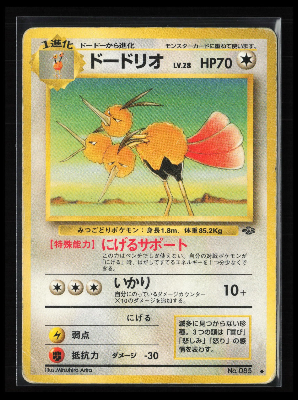 Dodrio #085 Pokémon Japanese Pokemon Jungle