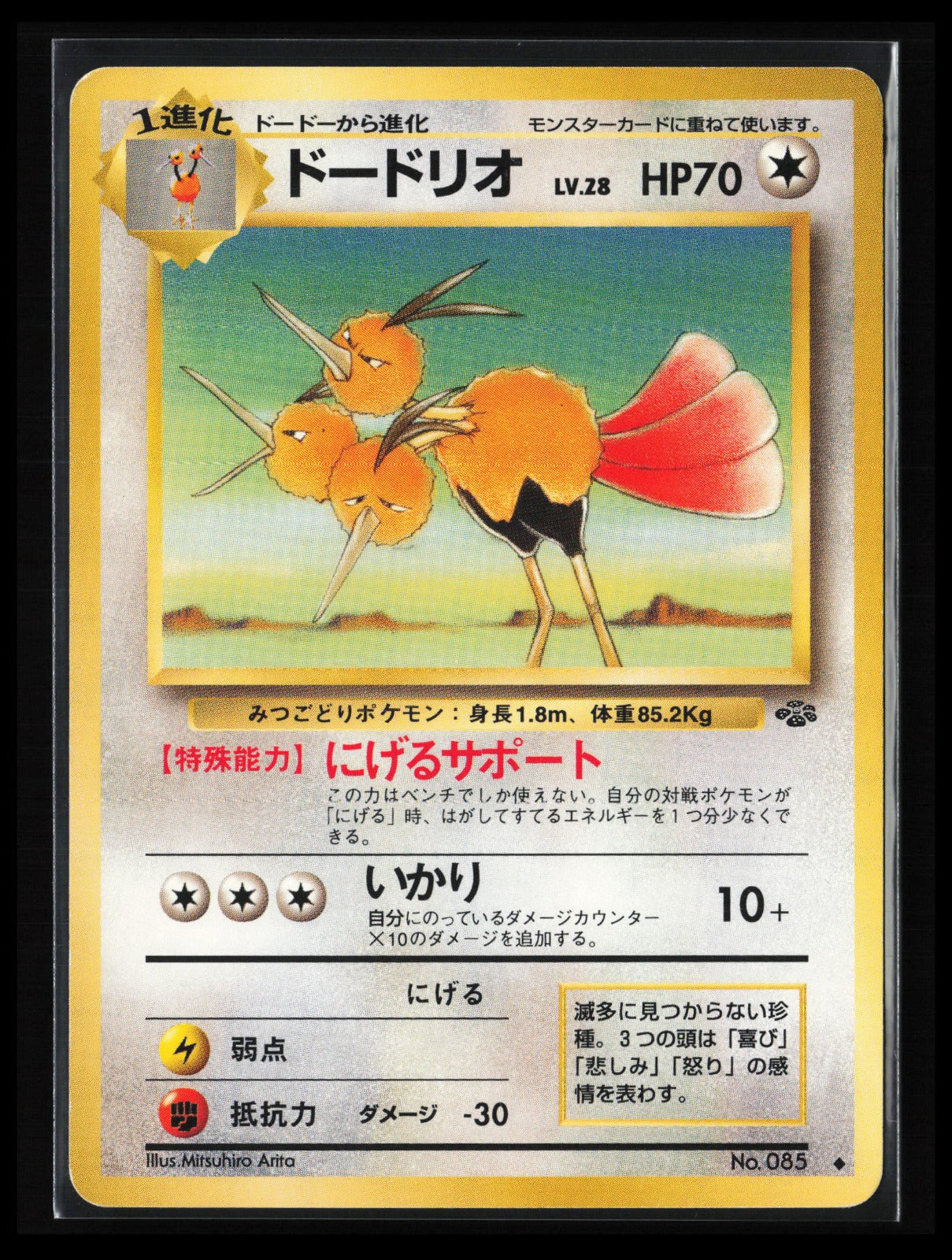 Dodrio #065 Pokémon Japanese Pokemon Jungle