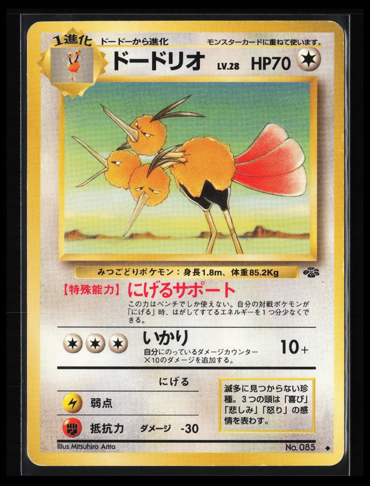 Dodrio #085 Pokémon Japanese Pokemon Jungle
