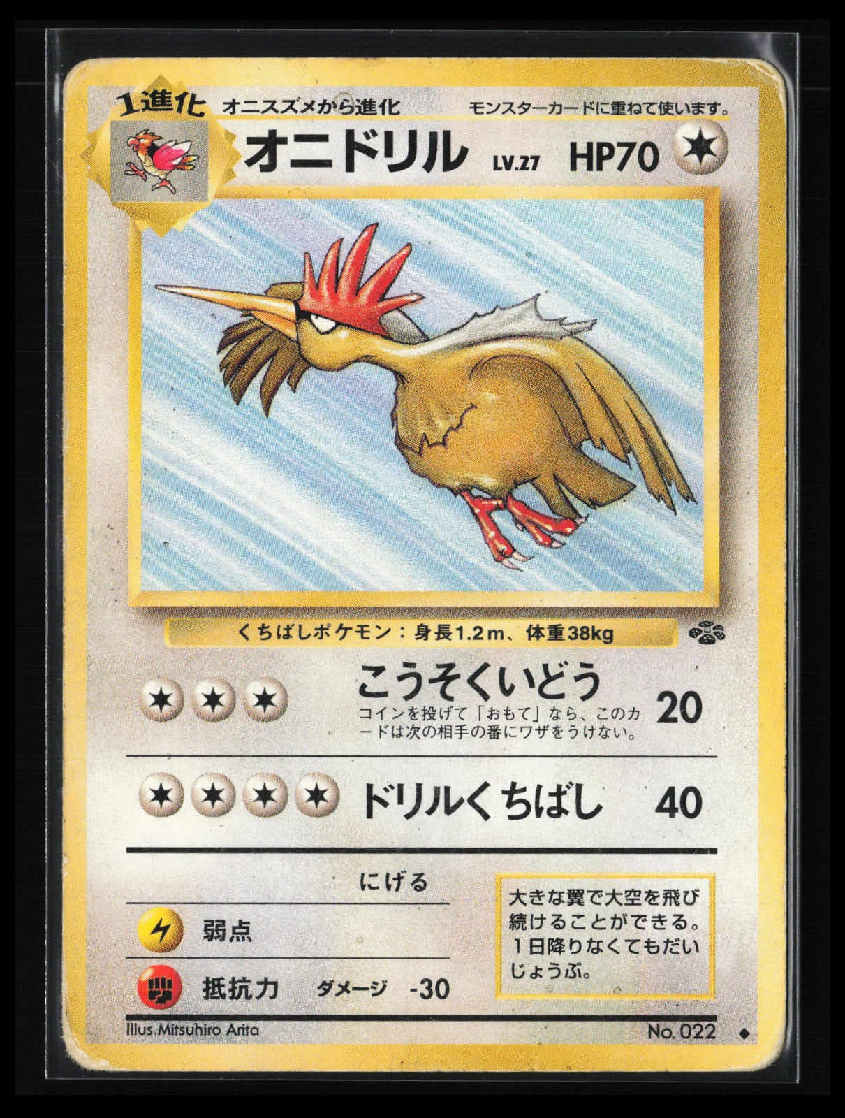 Fearow #022 Pokémon Japanese Pokemon Jungle