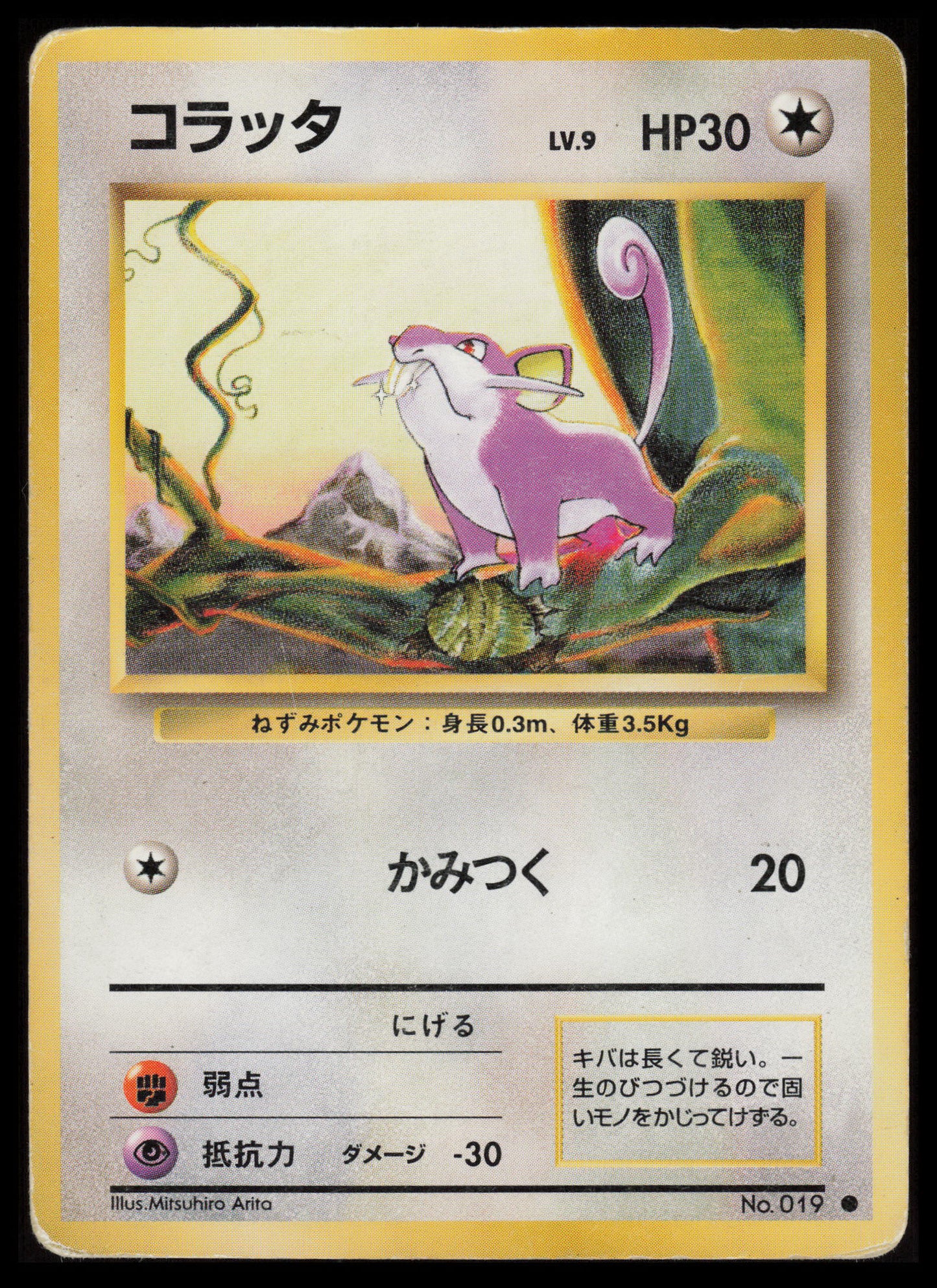 Rattata #19 Pokemon Japanese Expansion Pack