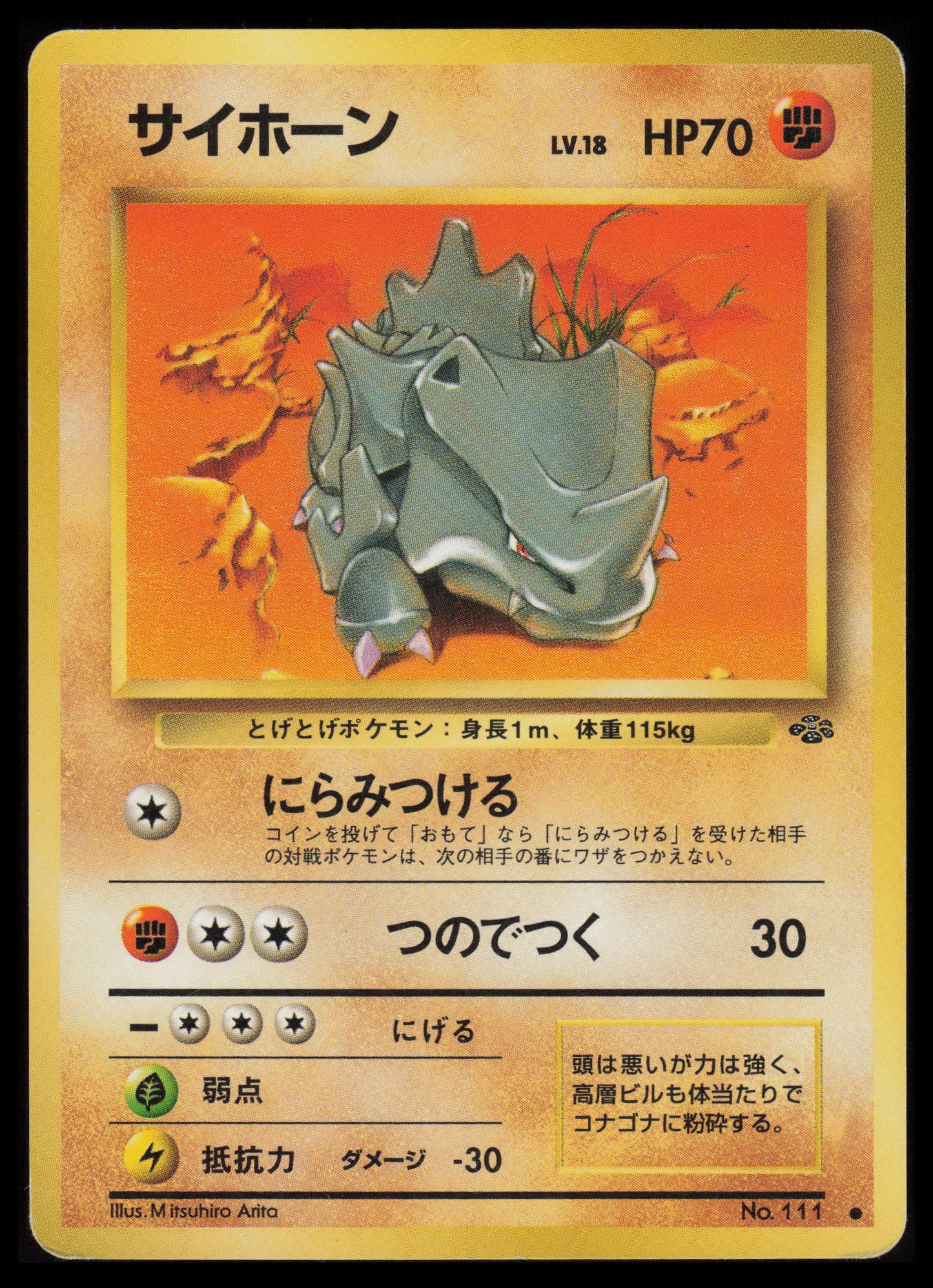 Rhyhorn Pokemon Japanese Jungle