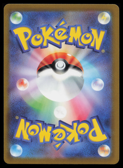 VSTAR Universe Pokémon Japanese Art Set