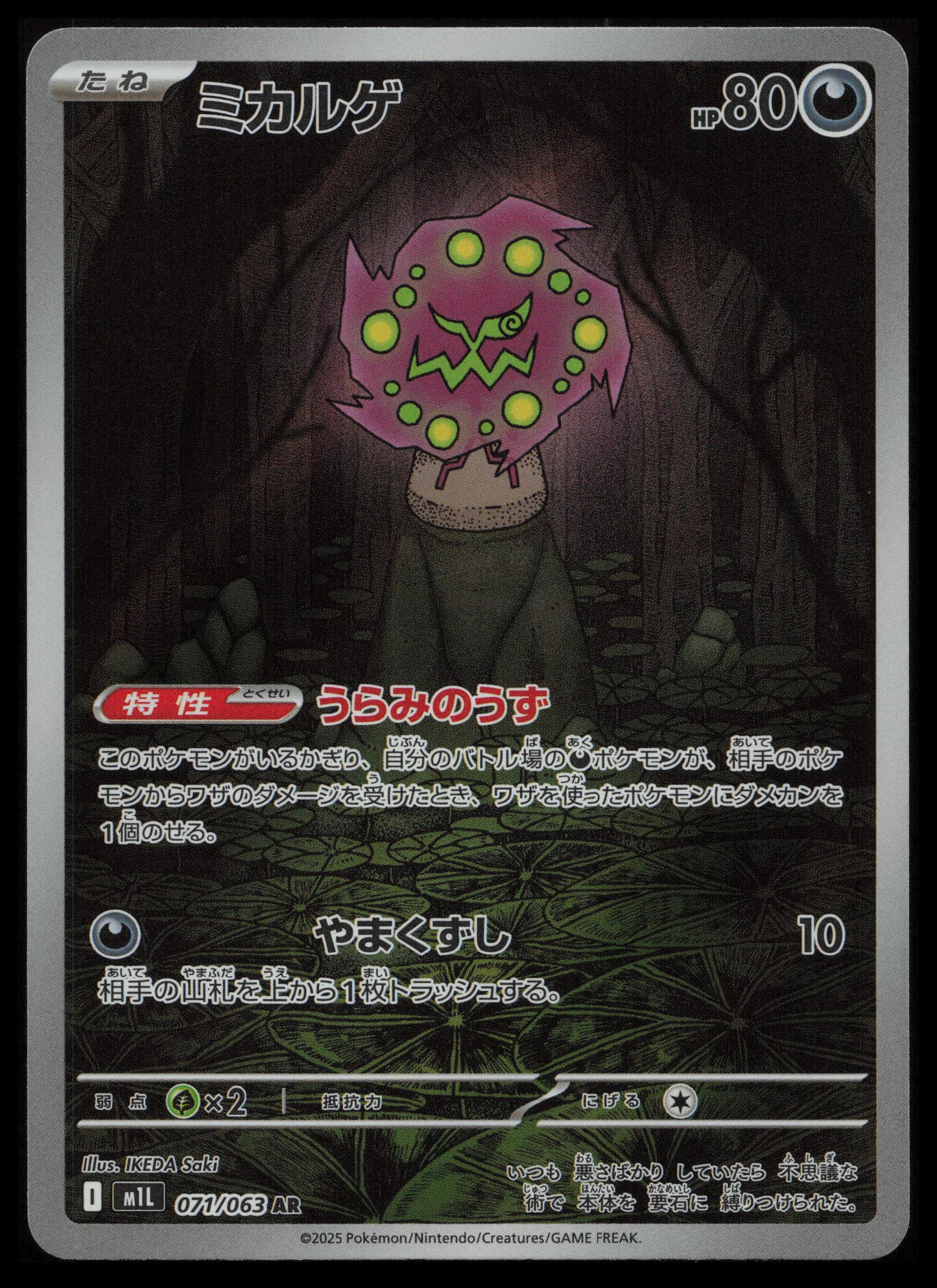 Mega Brave Pokémon Japanese Art Set