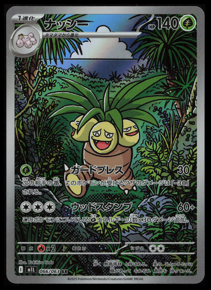 Mega Brave Pokémon Japanese Art Set