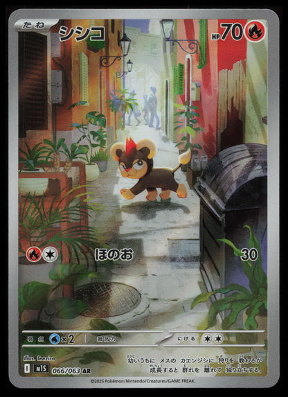 Mega Symphonia Pokémon Japanese Art Set