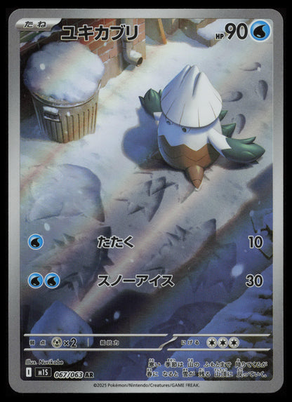 Mega Symphonia Pokémon Japanese Art Set